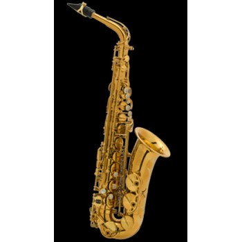 Reference E-flat Alto Saxophone Dark Gold Lacquer Engraved